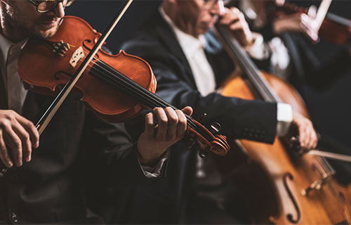 Concerts in Dresden
