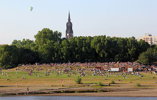 Elbufer film nights