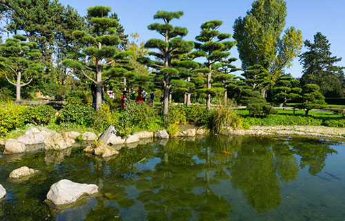 The Japanese Gardens
