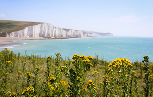 Seven Sisters Country Park