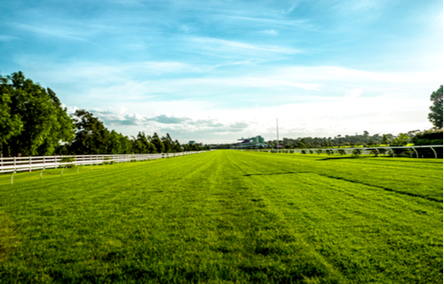 Exeter Racecourse