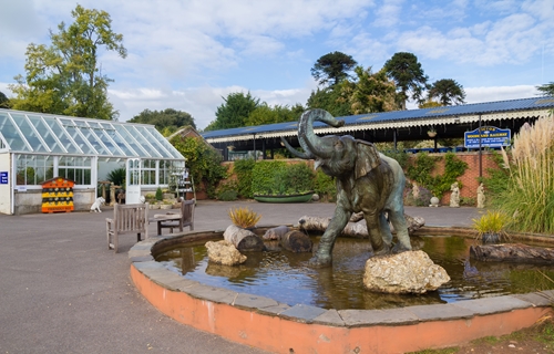 Bicton Park Gardens