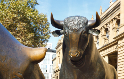 The Stock Market