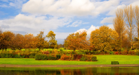 Alexandra Park