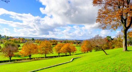 Bellahouston Park