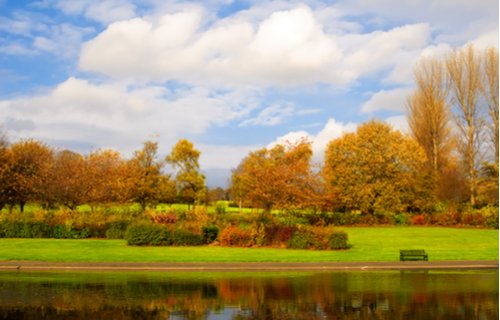 Alexandra Park