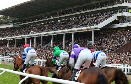 Cheltenham guide