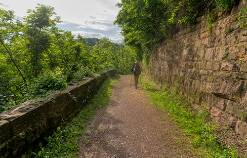 Neckarsteig