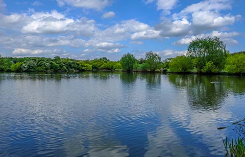 Hainault Forest