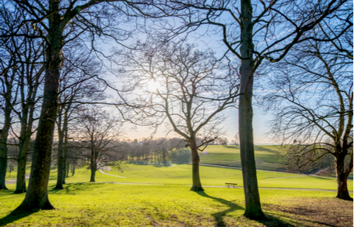 Roundhay Park