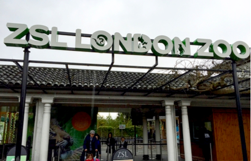 London für Kinder