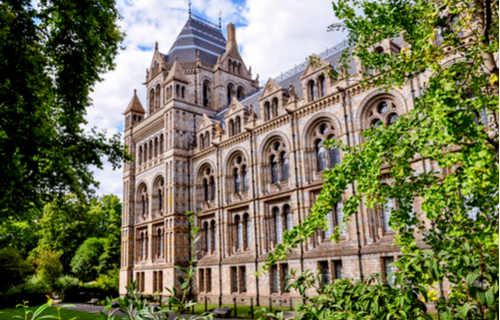 National History Museum