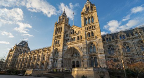 Natural History Museum London A Local Guide By Premier Inn