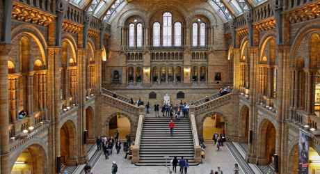 Natural History Museum London A Local Guide By Premier Inn