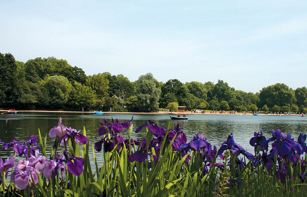 The Serpentine