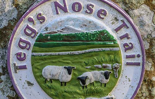 Tegg's Nose Country Park