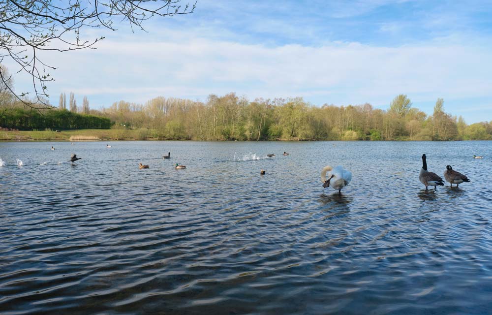 Chorlton Water Park