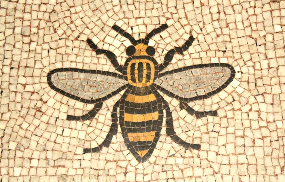 Bee spotting