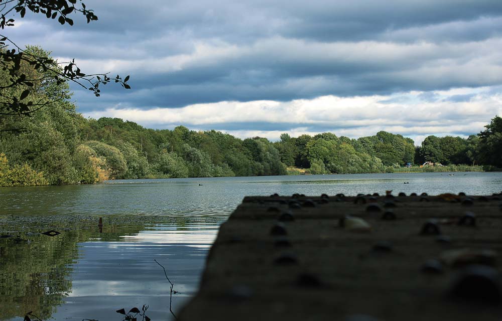 Chorlton Water Park, The Stone Roses