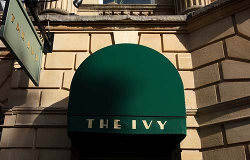 The Ivy