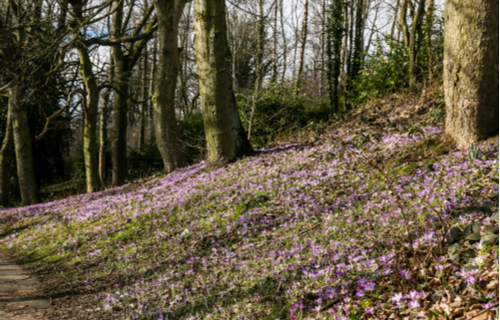 Heaton Park