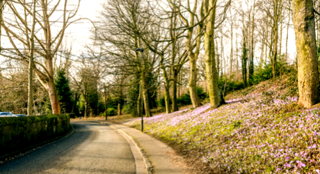 Heaton Park, Newcastle