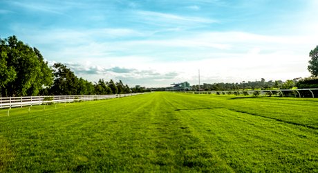 Newcastle Racecourse