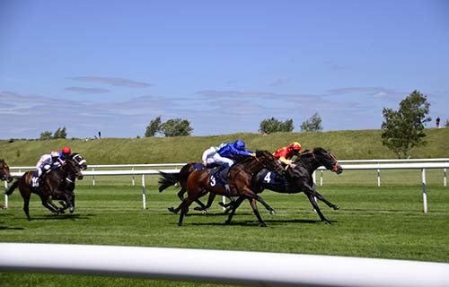 Newmarket Races