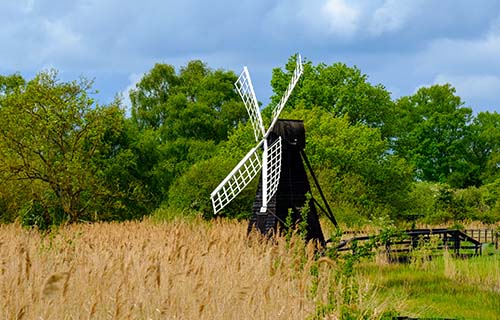 Wicken Fen Nature Reserve