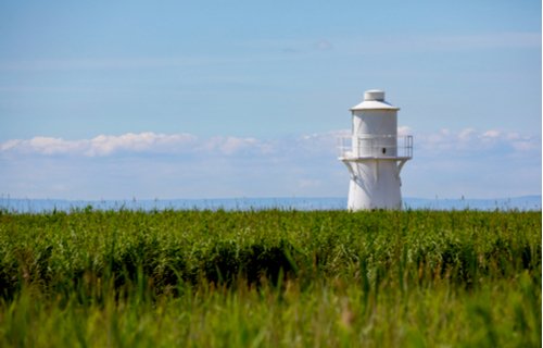 Newport Wetlands