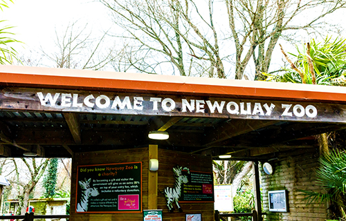 Newquay Zoo