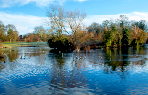 Abington Park