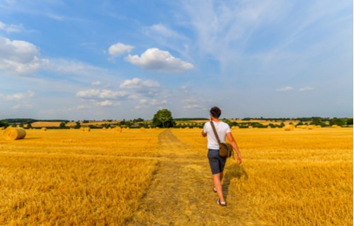 Walking Tours