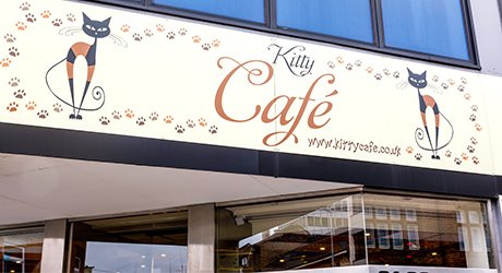 Kitty's Café