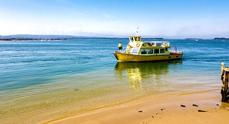 Poole Harbour