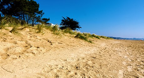 Sandbanks Beach