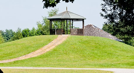 Wellington Country Park