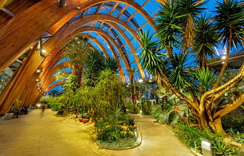 Sheffield Winter Garden
