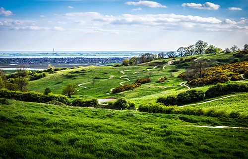 Hadleigh Park