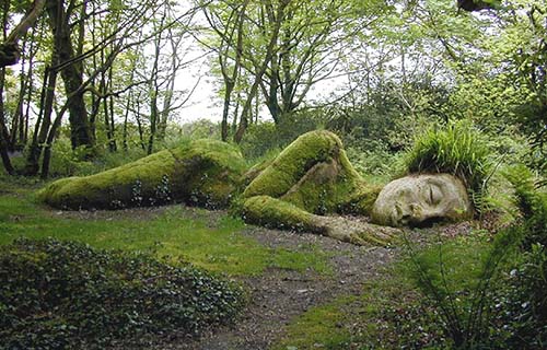 Lost Gardens of Heligan