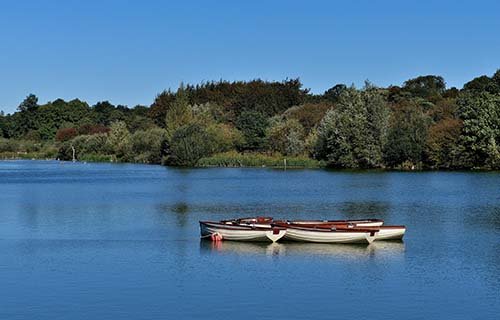 Hatfield Forest
