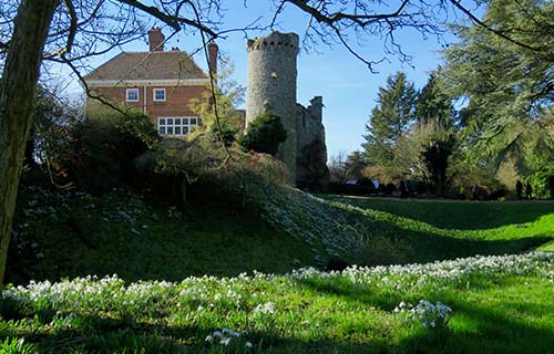 Benington Lordship Gardens