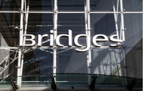 The Bridges