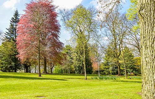 Walsall Arboretum