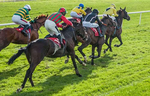Warwick Racecourse