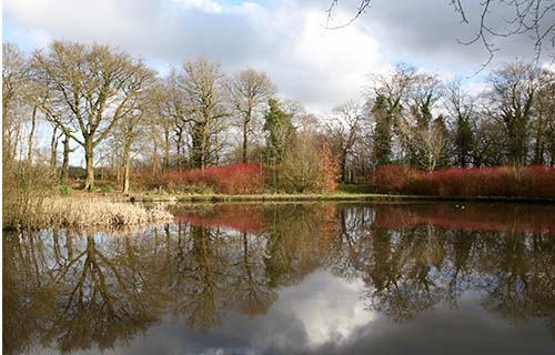 Haigh Woodland Park
