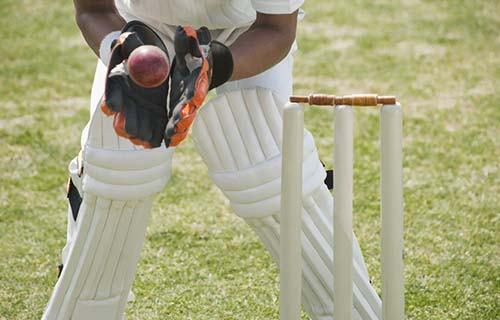 Worcester County Cricket Club
