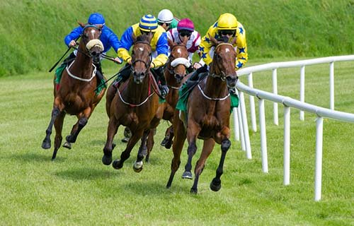 Worcester Racecourse