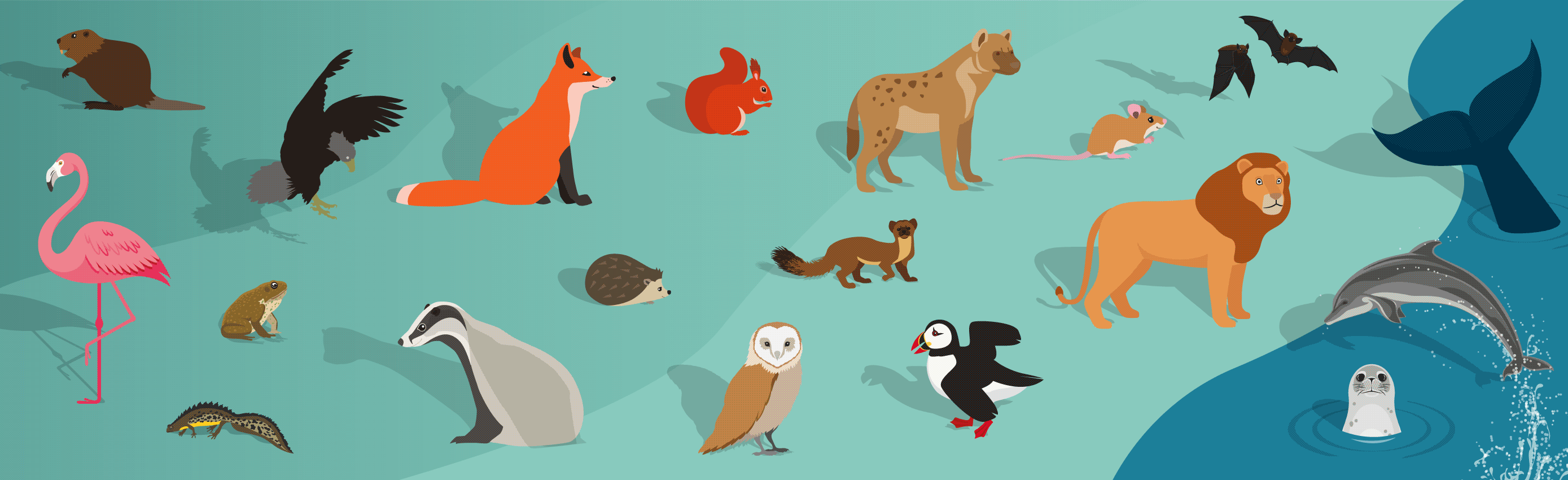 Illustration of animals