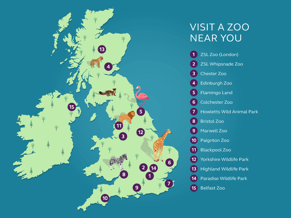 Illustration and information about zoo locations
